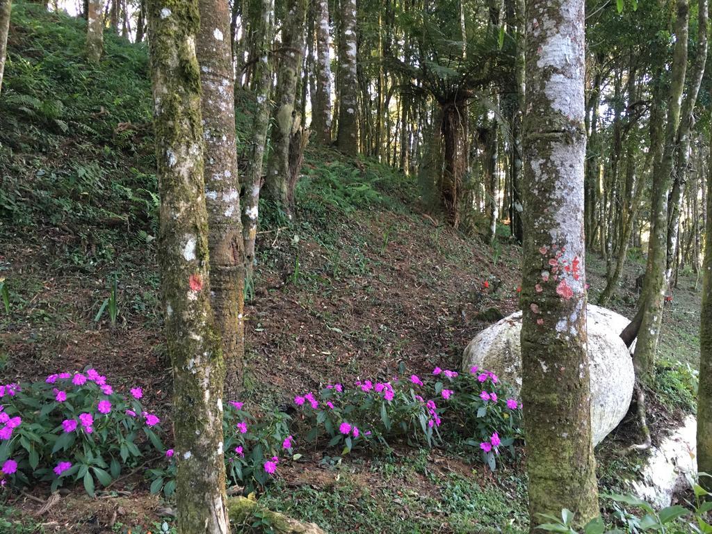 Chales Vila Flor Gonçalves Exteriör bild